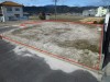 １０号地