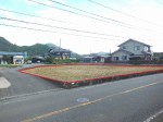 西長野　売地